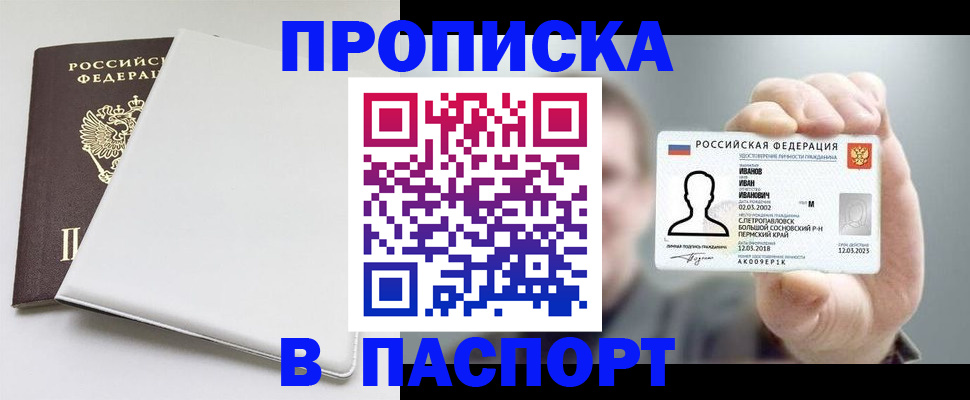 прописка для школы в Елизово